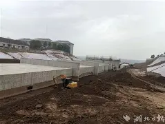 开云APP-纽卡斯尔喷气机vs墨尔本图片